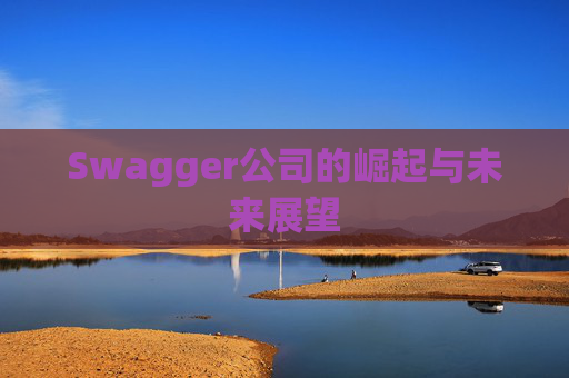 Swagger公司的崛起与未来展望